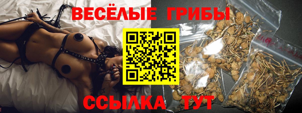 Котельники  Псилоцибиновые грибы GOLDEN TEACHER  Галлюциногенные грибы Psilocybe  Вход с VPN 